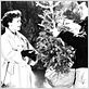 Tout ce que le ciel permet : photo Douglas Sirk, Jane Wyman, Rock Hudson
