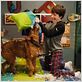 Rex, chien pompier : photo Todd Holland
