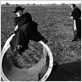 Il Bidone : photo Broderick Crawford, Federico Fellini, Richard Basehart
