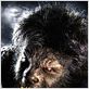 Wolfman : photo Benicio Del Toro, Joe Johnston