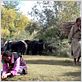 Milarépa, la voie du bonheur : photo Jamyang Lodro, Neten Chokling