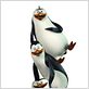 Les Pingouins de Madagascar : photo