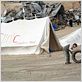 Aisheen (chroniques de Gaza) : photo