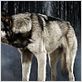 Riese: Kingdom Falling : photo