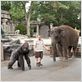 Zookeeper : photo Frank Coraci, Kevin James
