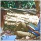 Elle s'appelle Ruby : photo Paul Dano, Zoe Kazan