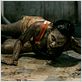 Evil Dead : photo Jane Levy
