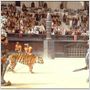 Gladiator