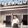Les Oiseaux