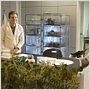 Weeds : photo Ben Tolpin, Hunter Parrish