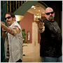 Flypaper