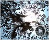 Resident Evil : Extinction Bande-annonce VO Resident Evil : Extinction Bande-annonce VO