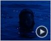 Les Dents de la Mer Bande-annonce (2) VO Les Dents de la Mer Bande-annonce (2) VO