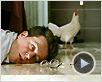 Very Bad Trip Bande-annonce VO Very Bad Trip Bande-annonce VO