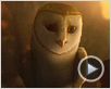 Le Royaume de Ga'Hoole - la légende des gardiens Bande-annonce VO