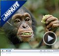 Photo : La Minute N°1219 - Lundi 28 janvier 2013