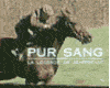 Pur Sang, la légende de Seabiscuit Bande-annonce VF