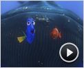 Le Monde de Nemo Extrait vidéo (2) VF
