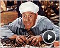 Ali Baba et les 40 voleurs Bande-annonce (3)