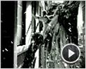 Max Payne Extrait vidéo VF