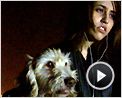 Les Chats persans Bande-annonce VO