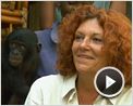 Bonobos Extrait vidéo