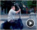 Zookeeper Bande-annonce (2) VF