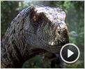 Fanzone N°19 - "Jurassic Park 4", "Sin City 2", les Oscars...