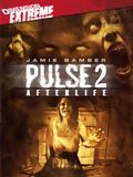 Télécharger : Pulse 2: Afterlife