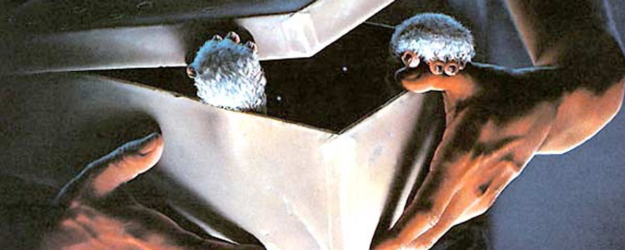 Gremlins 3 : Chris Columbus promet un scénario "tordu et sombre"