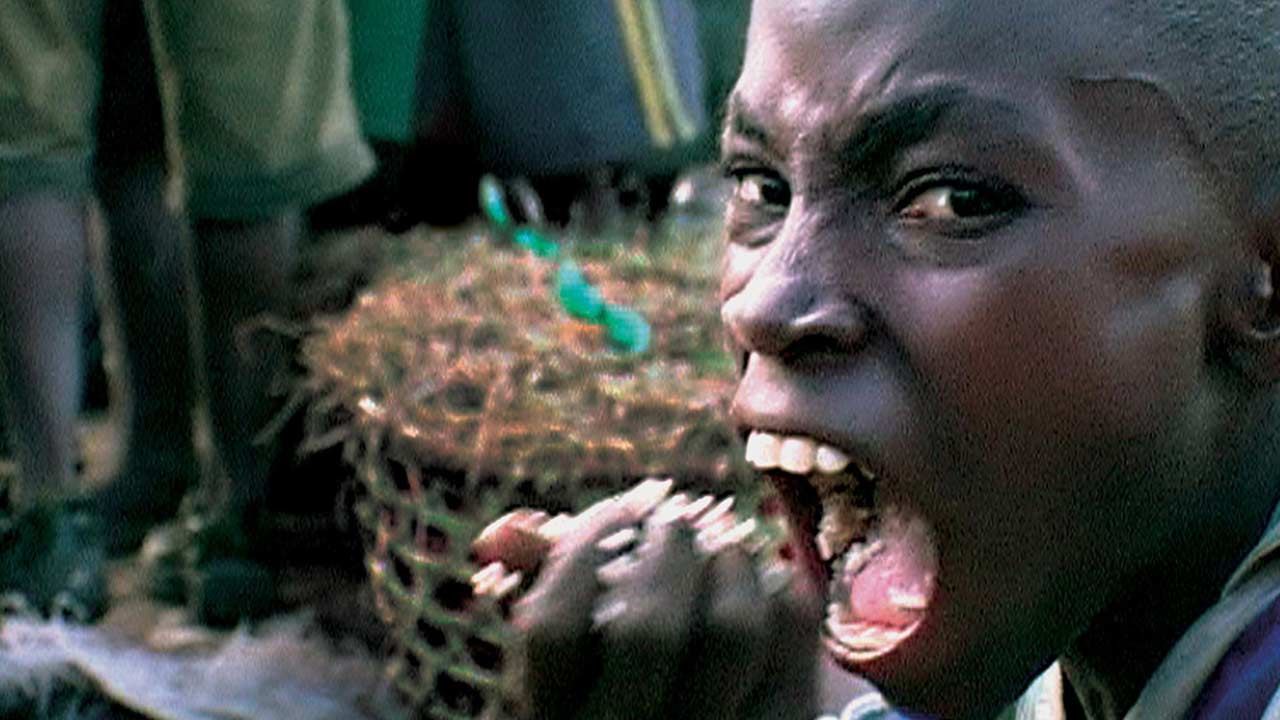 Il y a 15 ans, le choc du Cauchemar de Darwin, tableau apocalyptique de l'Afrique