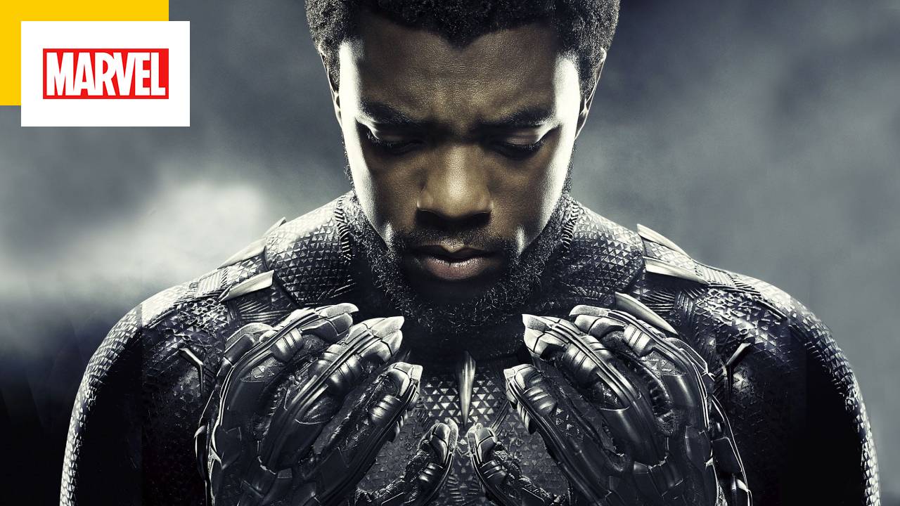 Black Panther 2 : quelle histoire était prévue avant le décès de Chadwick Boseman ?