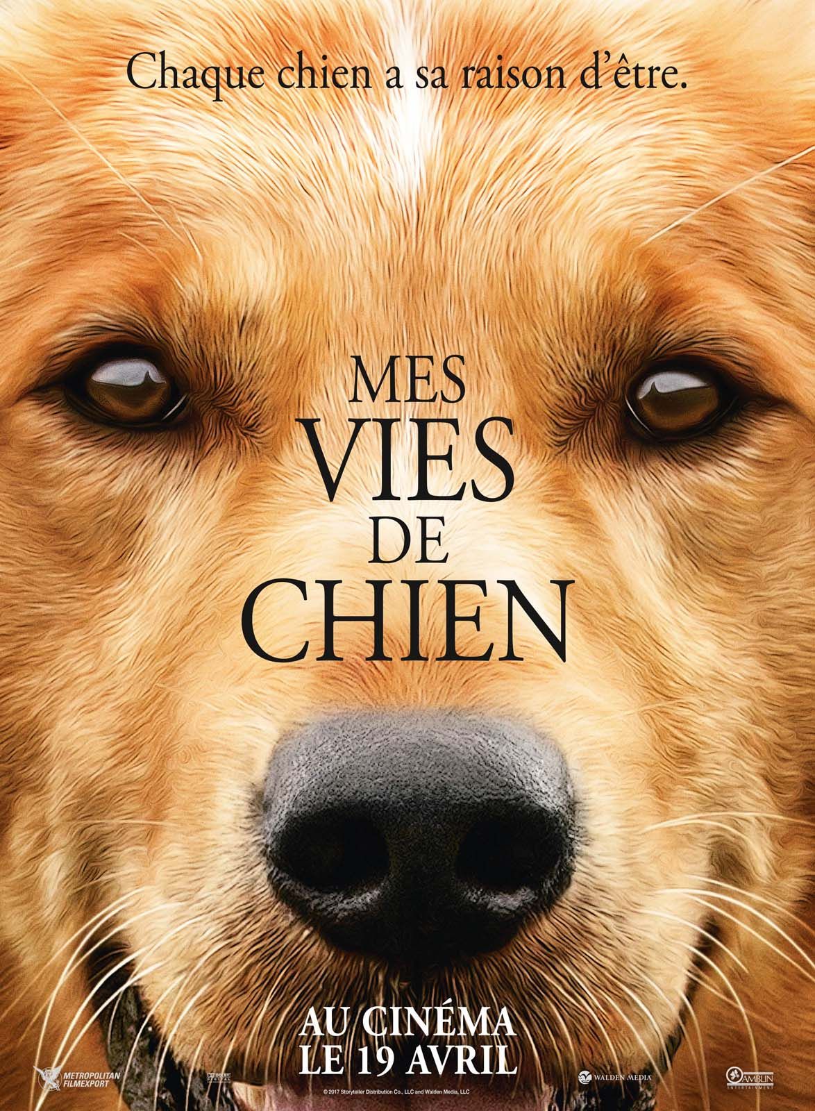 Mes vies de chien Mes vies de chien