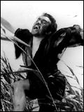 Photo : Onibaba