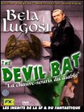 Photo : La Chauve-souris du diable