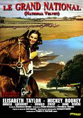 Photo : Le Grand national