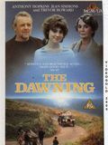 Photo : The Dawning