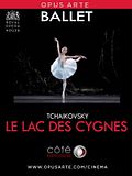 Photo : Le Lac des cygnes (Côté Diffusion)