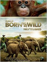 Born to Be Wild Born to Be Wild