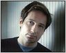 Réapparition de David Duchovny