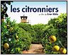 Hiam Abbass et ses "Citronniers"