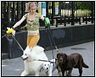 "Whatever Works" : le nouveau Woody Allen en images !