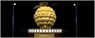 Razzie Awards 2010 : les nominations des "Pires" de l'année !
