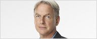 "NCIS" renouvelée : CBS commande une 11ème saison !