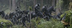 La Planète des singes : l'affrontement, New York Melody... Découvrez les sorties de la semaine ! La Planète des singes : l'affrontement, New York Melody... Découvrez les sorties de la semaine !