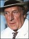 Georges Wilson
