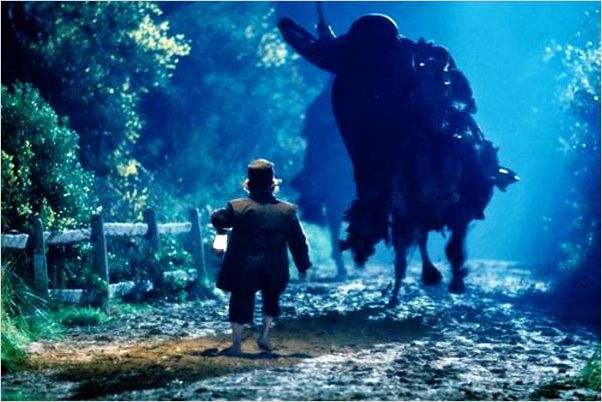 Le Seigneur des anneaux : la communauté de l'anneau : Photo Peter Jackson