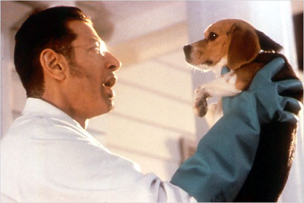 Comme chiens et chats : Photo Jeff Goldblum, Lawrence Guterman