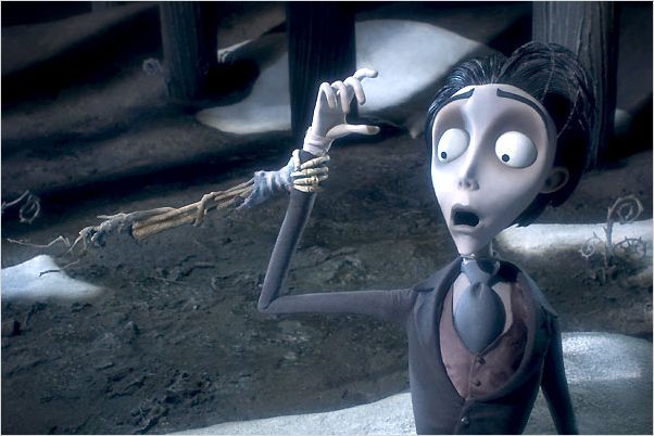 Les Noces funèbres : photo Mike Johnson, Tim Burton