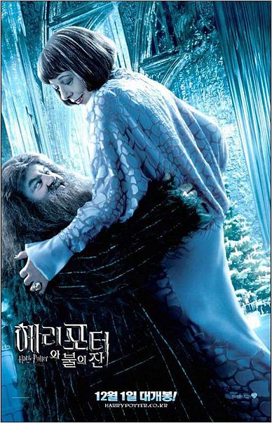 Harry Potter et la Coupe de Feu : affiche Frances de la Tour, Mike Newell, Robbie Coltrane
